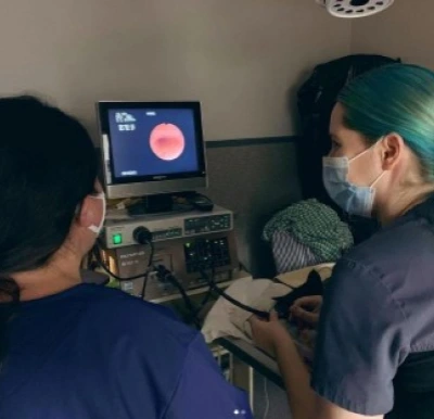 emergency for pets in winnipeg ultrasound